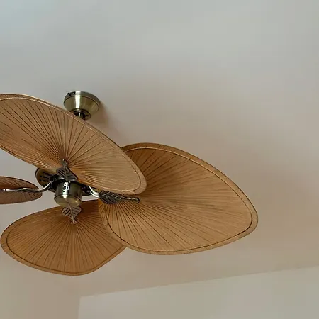 De Silhouette Μπιαρίτζ